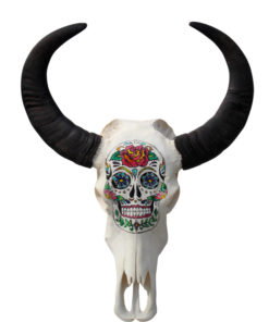 waterbuffel schedel-handgeschilderd-skull-