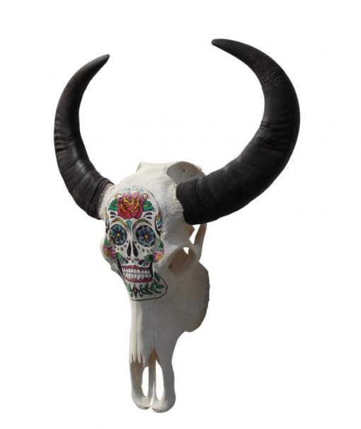 waterbuffel schedel-handgeschilderd-skull-