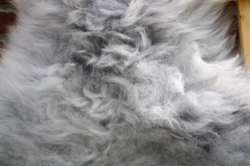 Grote schapenvacht van een heideschaap. Afmeting; 120-80cm.(wolzijde gemeten) Wol lengte 5-6 cm Wol kleur;licht grijs gemêleerd Herkomst; Wales Engeland.