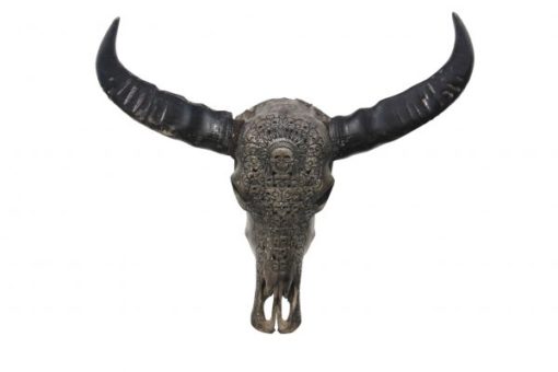 water-buffel-gothic-black-skulls