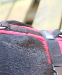 annyx-hondentuig-rood-zwart