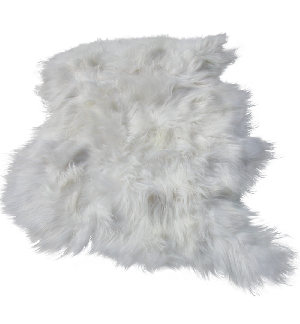 Fahrenheit Hoorzitting Ciro Donja HD-IJslands schapenvacht vloerkleed tapijt wolwit- 3 schapenvachten –  Het Millus Handelshuis