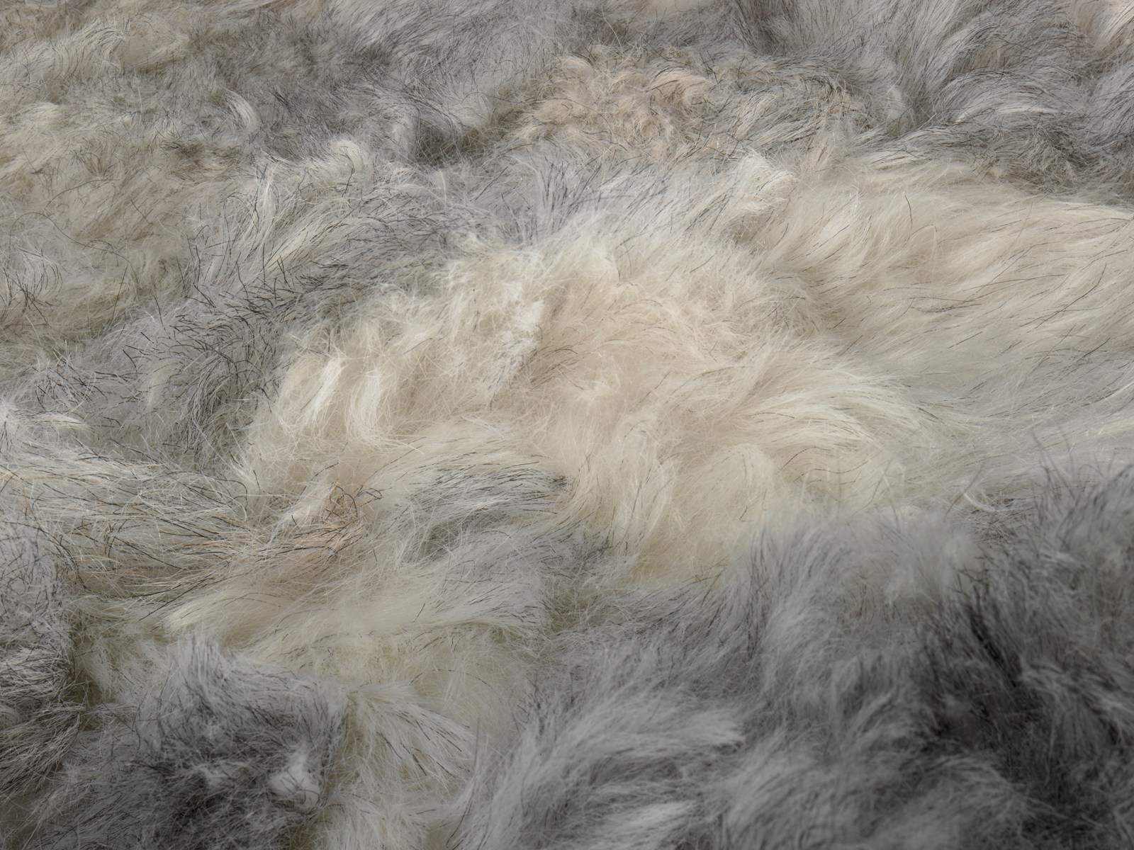 Op het randje rand Aanpassen Schapenvacht patchwork vloerkleed tapijt grijs mix IJslands lamsvacht – Het  Millus Handelshuis