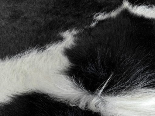 kuhfell-koeienhuid-tapijt-cowhide-XL 26 -zwart-wit