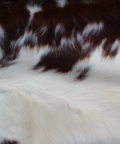 detail foto rood bonte koeienhuid