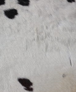 koeienhuid-zwart-wit-gevlekt-250cm