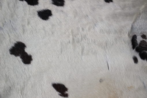koeienhuid-zwart-wit-gevlekt-250cm