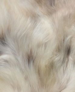 detailfoto schapenvacht 4030