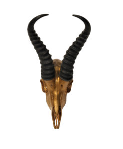 Donja HD Design springbok antilope dark gold