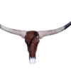 longhorn-stier-bull-met-vacht-