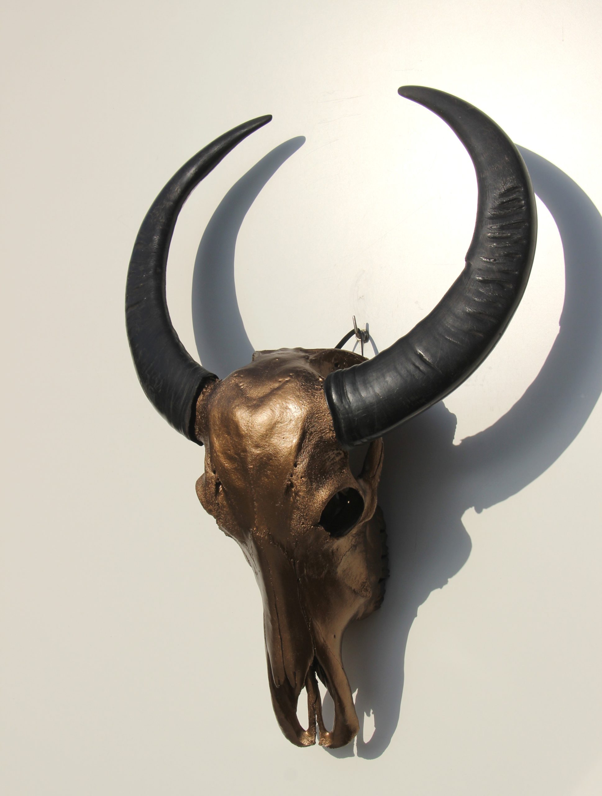 registreren Medic Slager Tibetan water buffalo skull metalbronze gothic – Het Millushandelshuis