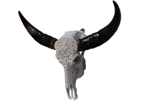 waterbuffel-gegraveerd-wit met zwarte hoorns