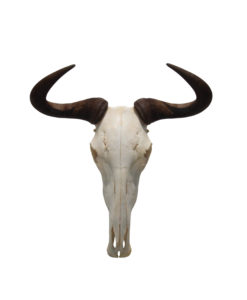 Gnu-wildebeest-wand-decoratie-afrika-