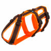 annyx-safety-anti-escape-fluor