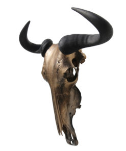 Gnu-wildebeest-Design-brons-donja-hd