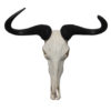 gnu-gnoe-wildebeest-wanddecoratie