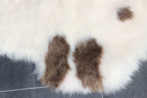 detail van klein lamsvachtje wit-bruin korte wol