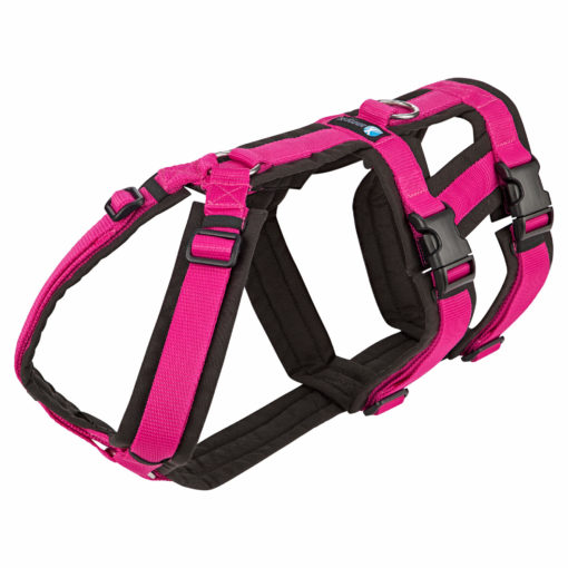 annyx-hondentuig-safety-zwart-fuchsia