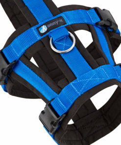 annyx-hondentuig-safety-zwart-blauw-