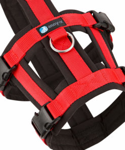 annyx-hondentuig-safety-zwart-rood