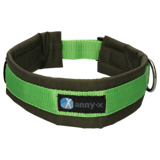 nnyx-honden-halsband-kopen-