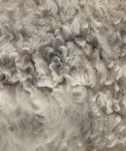 detail-wol-puur natuur lamsvacht. Offwhite Zachte wol.