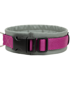 Annyx honden halsband gewatteerd met klik sluiting -grijs-fuchsia