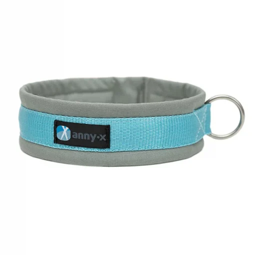 annyx-honden-halsband-grijs-ijsblauw
