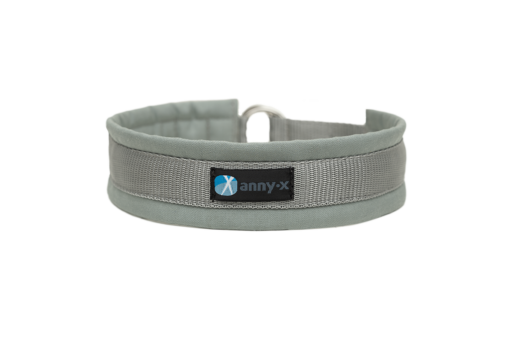 annyx-halsband-half check-zonder ketting-grijs-zilver