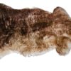 schapenvacht-mouflon-81-110cm-80