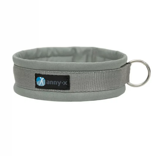 annyx-honden-halsband-grijs-zilver