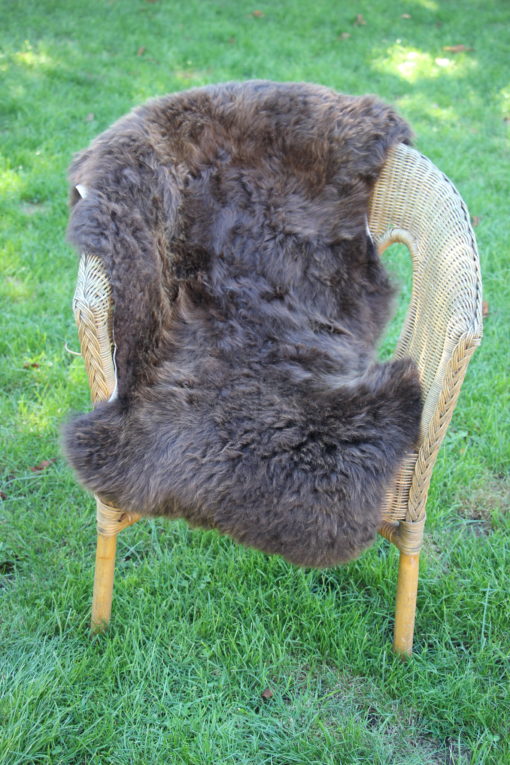 schapenvacht-donkerbruin-dikke-wol-gefotografeerd in de schaduw