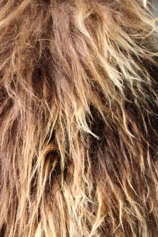 grote schapenvacht-ijsland-natuur bruin-blond-detail-